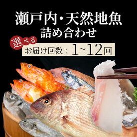 【ふるさと納税】【選べるお届け回数】瀬戸内産 鮮魚 地魚詰め合わせ（3～5種類） 1回/定期便 3回・6回・12回 瀬戸内の天然鯛入り/ 地魚 鯛 天然鯛 真鯛 天然 鮮魚 下処理済 瀬戸内 広島県 三原市 154003-r