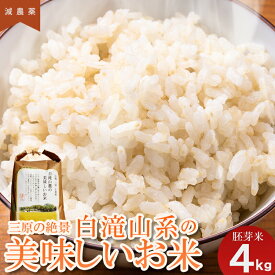 【ふるさと納税】≪減農薬≫三原の絶景白滝山系の美味しいお米4kg（胚芽米） 広島 瀬戸内ビオファーム 栽培期間中減農薬栽培　【お米 4kg 米】　お届け：2021年10月中旬ごろ～