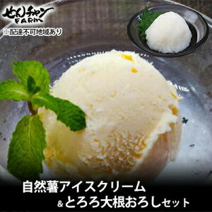 yӂ邳Ɣ[ŁzRN̂Ɍ㖡IRACXN[Ƃ卪낵Zbgi6jyzBsFz@029002