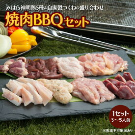 【ふるさと納税】鮮度抜群でレア部位も含む6種入り、鶏肉専門店の「焼肉BBQセット（みはら神明鶏）」 広島 三原 鳥徳　【肉の加工品 お肉 鶏肉 肉の加工品 焼肉セット】