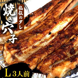 【ふるさと納税】秘伝タレ！瀬戸内の新鮮焼き穴子　アナゴ（L）3人前 広島 三原 鮮魚細井　【焼き穴子 アナゴ 穴子 3人前】