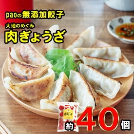 【ふるさと納税】paoの無添加餃子「大地のちから 肉ぎょうざ」　【 惣菜 冷凍 中華 点心 おかず おつまみ さっぱり ささゆりポーク 香味野菜 国産野菜 旨味 】