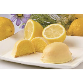 【ふるさと納税】瀬戸田レモンケーキRemoRemo　15個セット　＜冷蔵出荷＞