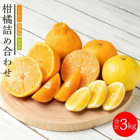 【ふるさと納税】旬の柑橘詰め合わせ（約3kg）2027年3月上旬〜発送予定 | みかん せとか しらぬい はるか 柑橘 果物 フルーツ 産地直送 送料無料 人気 おすすめ 瀬戸内 広島県 尾道市
