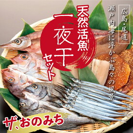 楽天市場 ふるさと納税 干物 産地 都道府県 広島 の通販