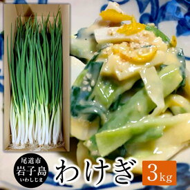 【ふるさと納税】わけぎ　3キロ | 野菜 ねぎ 分葱 送料無料 人気 おすすめ 広島県 尾道市