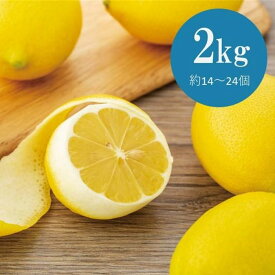 【ふるさと納税】【30限定】皮まで美味しい無農薬レモン　2kg