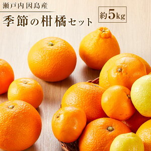 yӂ邳Ɣ[ŁzG߂̊kZbg5kg 2026N1{甭 | t[c ʕ  Hi lC  