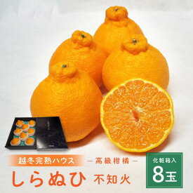 【ふるさと納税】高級柑橘 贈答用 越冬完熟ハウスしらぬひ（不知火）化粧箱8玉 | みかん 不知火 柑橘 果物 フルーツ 産地直送 送料無料 人気 おすすめ 瀬戸内 広島県 尾道市