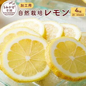 yӂ邳Ɣ[ŁzR͔|@ʏ`p@4kg(28`40xj | k ʕ t[c Y  lC  ˓ L s