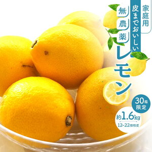 【ふるさと納税】【30箱限定】皮まで美味しい無農薬レモン 家庭用 1.6kg | 瀬戸田 瀬戸田レモン 檸檬 瀬戸内レモン フルーツ 柑橘 シトラス 無農薬 有機肥料 防腐剤不使用 レモネード はちみ