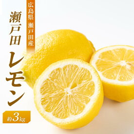 【ふるさと納税】瀬戸田レモン3kg　＜2025年11月上旬より発送開始＞ | 広島県尾道市 広島県 尾道市 広島 尾道 ふるさと 納税 支援 レモン れもん フルーツ 果物 青果 柑橘 瀬戸田レモン 国産 有機 お取り寄せグルメ