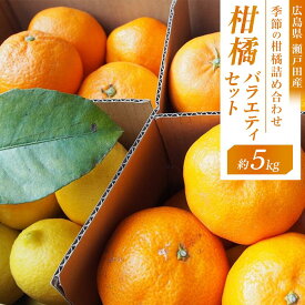 【ふるさと納税】柑橘バラエティセット　5kg ＜2026年1月下旬より発送開始＞ | みかん 瀬戸田 レモン 檸檬 果物 フルーツ 詰め合わせ セット 送料無料 人気 おすすめ 瀬戸内 広島県 尾道市