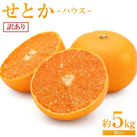 【ふるさと納税】せとか（ハウス）約5kg（М以上）家庭用【2026年3月から発送】 | 家庭用 せとか 瀬戸内 柑橘 フルーツ 果物 くだもの 食品 人気 おすすめ 送料無料 広島県 尾道市