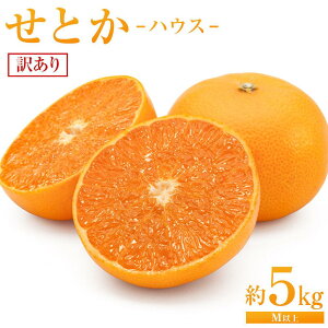 yӂ邳Ɣ[ŁzƂinEXj5kgiMȏjƒpy2026N3甭z | ƒp Ƃ ˓ k t[c ʕ  Hi lC   L s