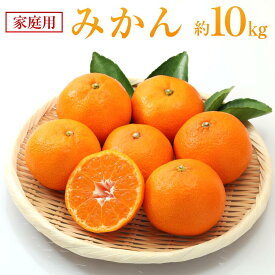 【ふるさと納税】みかん 約10kg（家庭用）【2025年11月下旬から発送】 | 柑橘 フルーツ 果物 くだもの 食品 人気 おすすめ 送料無料 広島県 尾道市