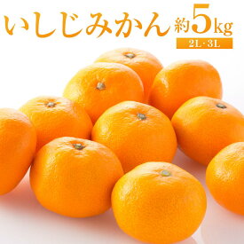【ふるさと納税】いしじみかん 約5kg（2L・3L）【2025年12月から発送】 | 柑橘 フルーツ 果物 くだもの 食品 人気 おすすめ 送料無料 広島県 尾道市