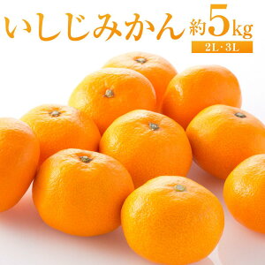 yӂ邳Ɣ[Łz݂ 5kgi2LE3Ljy2025N12甭z | k t[c ʕ  Hi lC   L s