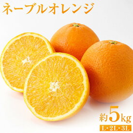 【ふるさと納税】ネーブルオレンジ 約5kg（L・2L・3L）【2026年2月から発送開始】 | 柑橘 フルーツ 果物 くだもの 食品 人気 おすすめ 送料無料 広島県 尾道市