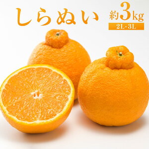 yӂ邳Ɣ[Łzʂ 3kgi2LE3Ljy2026N2{甭z | sm k t[c ʕ  Hi lC   L s