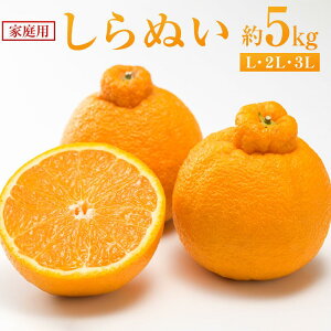 yӂ邳Ɣ[Łzʂ 5kgiƒpjy2026N2甭z | sm k t[c ʕ  Hi lC   L s