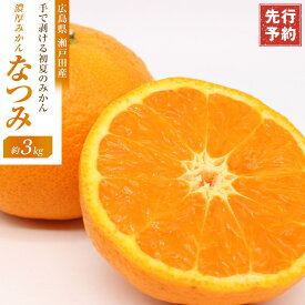 【ふるさと納税】☆先行 予約 濃厚すぎるほど濃いみかん　手で剥ける初夏のみかん　なつみ　3kg＜2026年4月上旬より発送開始＞