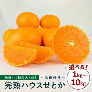 yӂ邳Ɣ[Łzk̑gInnEXƂ Iׂ!! 1kg`10kg | ݂ Ƃ k ʕ t[c Yn  lC  ˓ L s