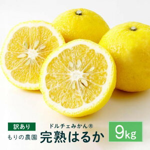 yӂ邳Ɣ[Łzy󂠂zn͂邩 Iׂ!! 4.5kg`9kg h`F݂ 2026N2{蔭\