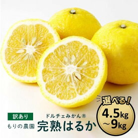 【ふるさと納税】【訳あり】完熟はるか 選べる!! 4.5kg～9kg ドルチェみかん 2026年2月中旬より発送予定
