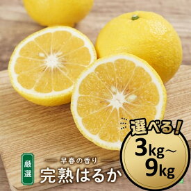 【ふるさと納税】完熟はるか 選べる!! 3kg～9kg｜2026年2月下旬～3月上旬発送予定 | フルーツ お取り寄せ 産地直送 もりの農園 ドルチェみかん　送料無料 人気 おすすめ 瀬戸内 広島県 尾道市