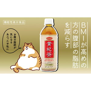 yӂ邳Ɣ[ŁzX PET500ML×24{(@\\Hi) |  \tghN lC  
