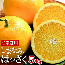 【ふるさと納税】しまなみはっさく 家庭用八朔 5kg（尾道市因島・生口島産）【2026年2月上旬から発送】 | L～LLサイズ 柑橘 みかん オレンジ 広島県 尾道