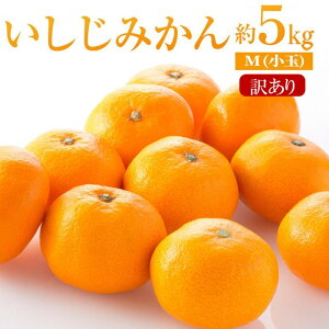 yӂ邳Ɣ[Łzy󂠂z݂@ʁ@5kg