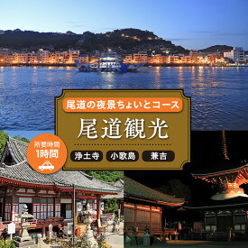 【ふるさと納税】尾道の夜景ちょいとコース1時間