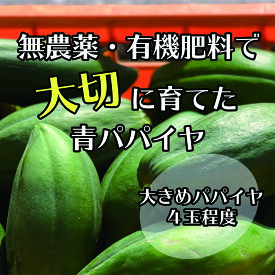 【ふるさと納税】【先行予約】無農薬・有機肥料で大切に育てた 青パパイヤ【大きめパパイヤ4玉程度】（栽培期間中農薬不使用）2026年9月発送