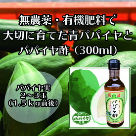 【ふるさと納税】【先行予約】無農薬・有機肥料で大切に育てた パパイヤ 2-3玉 1.5キロ前後（栽培期間中農薬不使用）と パパイヤ酢300mlのセット　2026年9月発送