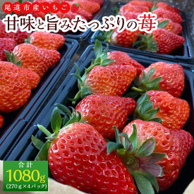 【ふるさと納税】河野園芸の完熟いちご4パック ＜2026年1月から発送開始＞ | 苺 いちご フルーツ 果物 おすすめ 人気 広島県 尾道市