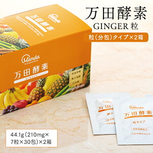 yӂ邳Ɣ[Łzcyf GINGER ij^Cv ×2 | 傤 WW[  yf cyf cy yHi Y y yTv A  e N N⏕Hi ܂񂾂 
