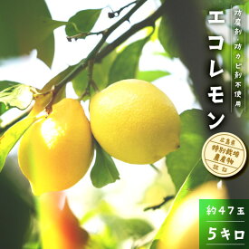 【ふるさと納税】エコレモン5Kg-防腐剤・防カビ剤不使用で皮まで安心　広島県特別栽培農産物認証