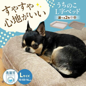 yӂ邳Ɣ[ŁzyIׂJ[ẑ LxbhLTCY (O[/uE) ybgxbh pxbh Lp 􂦂 \ ~ T|[g ӂӂ NbV ې R 