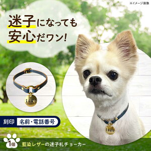 �y�ӂ邳�Ɣ[�Łz���q�D �������U�[�̖��q�D�`���[�J�[ �L�������R�s/�C���f�B���U�[ ���q�D �{�v ���U�[ ��� �� �L[BAAN009]