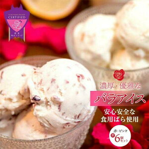 yӂ邳Ɣ[ŁzACX RKNl oACX 6Zbg ACX L@͔| Hp΂  Ruh LRs/}`g[BABB003]