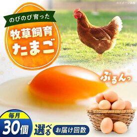 【ふるさと納税】【回数が選べる定期便】天心山 たまご30個 卵 たまご 高級 食品 たまごかけご飯 卵かけご飯 卵焼き 生卵 濃厚 ケーキ お菓子 づくり ランキング 上位 人気 おすすめ 定期便 産地直送 新鮮 鶏卵 生食用 玉子 TKG 広島県福山市/天心山ファーム[BABW025]