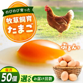 【ふるさと納税】【回数が選べる定期便】天心山 たまご50個 卵 たまご 高級 食品 たまごかけご飯 卵かけご飯 卵焼き 生卵 濃厚 ケーキ お菓子 づくり ランキング 上位 人気 おすすめ 定期便 産地直送 新鮮 鶏卵 生食用 玉子 TKG 広島県福山市/天心山ファーム[BABW033]