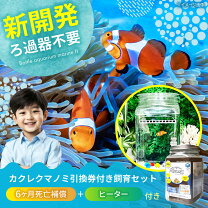 楽天市場】海水魚 飼育セットの通販