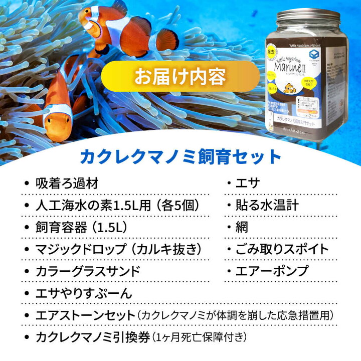 楽天市場】【ふるさと納税】水槽 カクレクマノミ飼育セット（1ヶ月死亡 