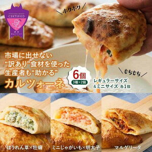 【ふるさと納税】ピザ つつんでたすカルツォーネ 6個セット 福山工場長 冷凍 惣菜パン 包み焼きピザ マルゲリータ おすすめ 人気 簡単調理 レンジ 温めるだけ 軽食 朝食 ランチ おやつ チー
