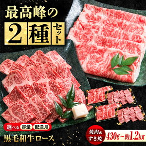 yӂ邳Ɣ[ŁzyΕzyyV/Iׂzz Y _΋ [Xėp + [XēpZbg eʑIׂ Rs/ЂȂܖq[BACT009] Ȃܖq јa [