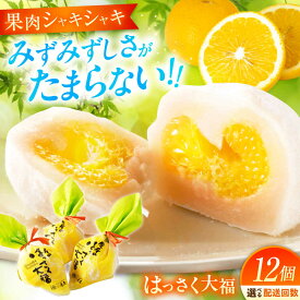 【ふるさと納税】【選べるお届け回数】お菓子 はっさく大福 12個入 お菓子 大福 八朔 柑橘 みかん はっさく オレンジ 餅 ギフト お取り寄せ スイーツ フルーツ大福 ご当地 おかし デザート 和菓子 詰め合わせ 個包装 手土産 白あん 福山市/株式会社虎屋本舗[BADH012]