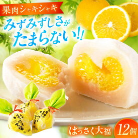 【ふるさと納税】お菓子 はっさく大福 12個入 お菓子 大福 八朔 柑橘 みかん はっさく オレンジ 餅 ギフト お取り寄せ スイーツ フルーツ大福 ご当地 おかし デザート 福山市/株式会社虎屋本舗[BADH012]
